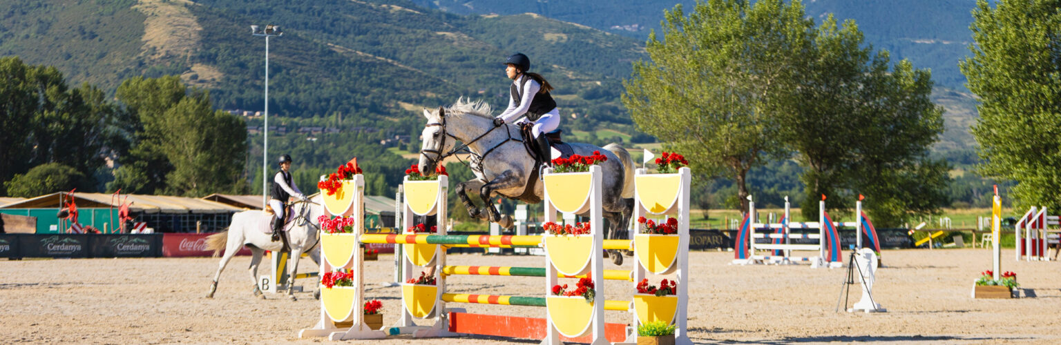 Cerdanya silice